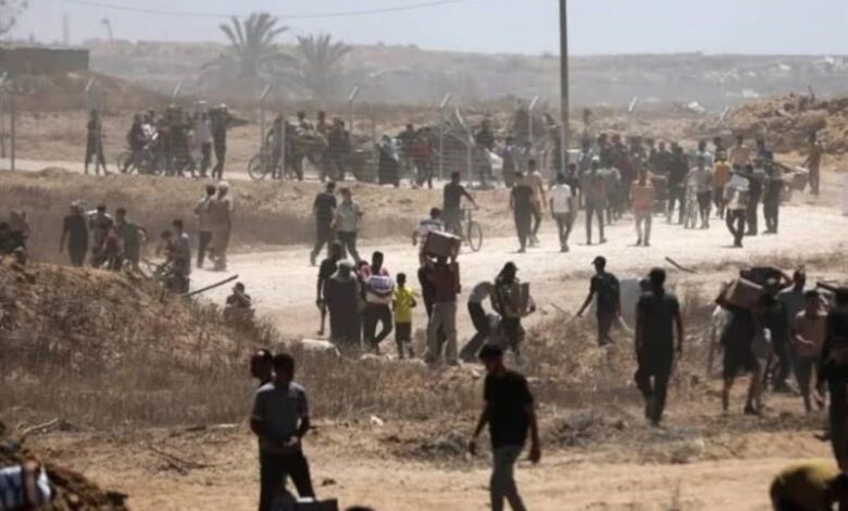 ইউনিসেফ: দক্ষিণ গাজায় নিরাপদ এলাকা থাকার বিষয়ে ইসরায়েলের দাবি হাস্যকর।