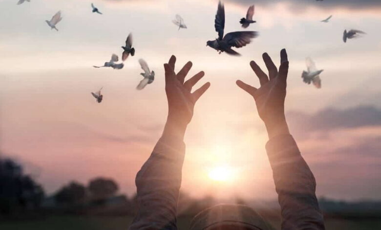 কেন আল্লাহ ছাড়া অন্যের কাছে ভরসা রাখার রঙ নেই? ইমাম সাজ্জাদ (আঃ)-এর শিক্ষণীয় বাণী