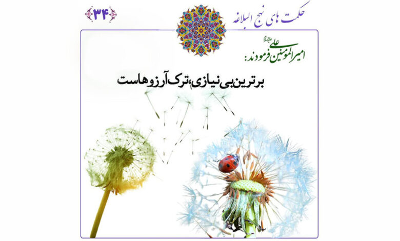 আশার মোহ থেকে মুক্তি: ইমাম আলীর (আ.) দৃষ্টিতে প্রকৃত নিঃস্বার্থতা