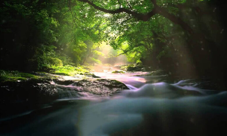 কখনো নিজেকে জান্নাতের চেয়ে কম কিছুর বিনিময়ে বিক্রি করো না