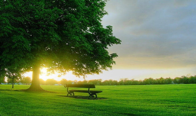 সমাজে শান্তি প্রতিষ্ঠার কোরআনিক উপায়