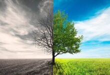 ইসলামের শ্রেষ্ঠ কাজ ও সবচেয়ে ঘৃণিত পাপ