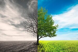 ইসলামের শ্রেষ্ঠ কাজ ও সবচেয়ে ঘৃণিত পাপ