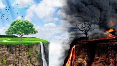 জাহান্নাম ও জান্নাত কি ইতিমধ্যেই সৃষ্টি করা হয়েছে?