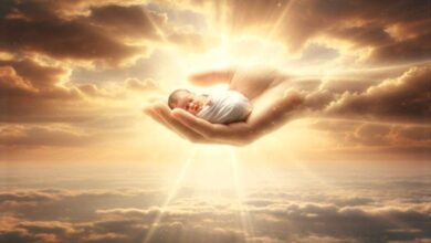 যদি গর্ভস্রাব অনিচ্ছাকৃত হয়, তবে কি ভ্রূণ পরকালের দিনে আপন মায়ের বিরুদ্ধে কোনো অভিযোগ উপস্থিত করবে?