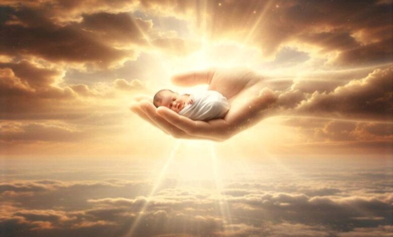 যদি গর্ভস্রাব অনিচ্ছাকৃত হয়, তবে কি ভ্রূণ পরকালের দিনে আপন মায়ের বিরুদ্ধে কোনো অভিযোগ উপস্থিত করবে?