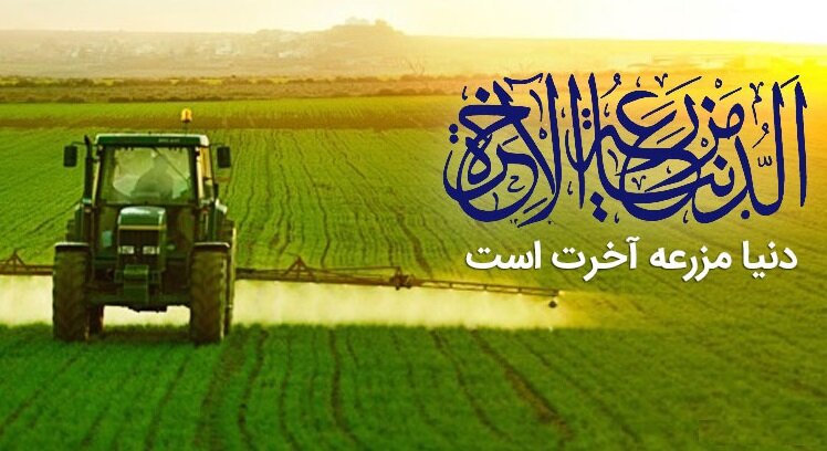 জীবনের মাঠে বিনয় বপন করো, সৌভাগ্য হবে তোমার ফসল