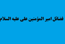 হযরত আলী (আ.)-এর ফজিলত সম্পর্কে আনাস ইবনে মালিকের সাক্ষ্য