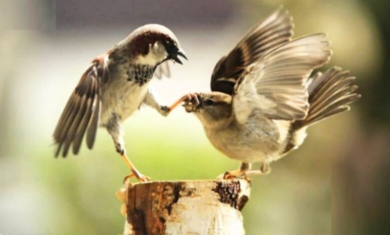 যে পাপ, নবীর ক্ষমাপ্রার্থনাতেও ক্ষমা হয় না