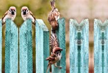 কারা আল্লাহর সবচেয়ে প্রিয় বান্দা ?