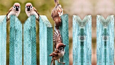 কারা আল্লাহর সবচেয়ে প্রিয় বান্দা ?
