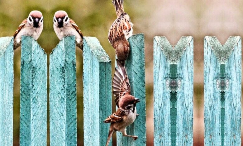 কারা আল্লাহর সবচেয়ে প্রিয় বান্দা ?