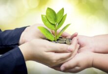 ইমাম জাওয়াদ(আ.)-এর সতর্কবার্তা—শুধু নামেই শিয়া দাবি নয়, কর্মে প্রমাণ চাই