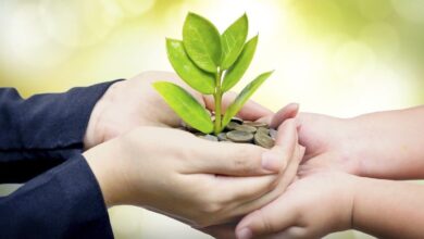 ইমাম জাওয়াদ(আ.)-এর সতর্কবার্তা—শুধু নামেই শিয়া দাবি নয়, কর্মে প্রমাণ চাই